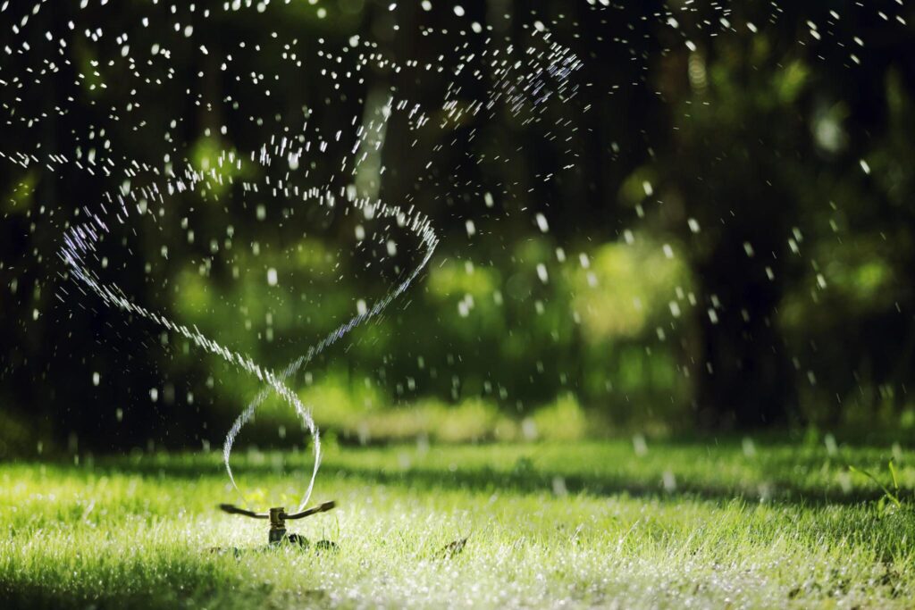 Sprinklers vs. Drip Irrigation System