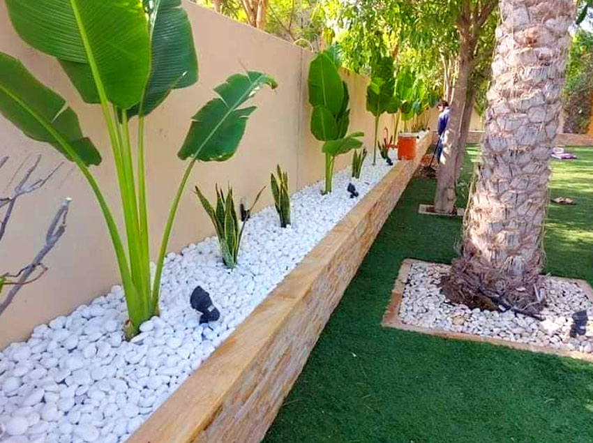 Plants space Mantenence